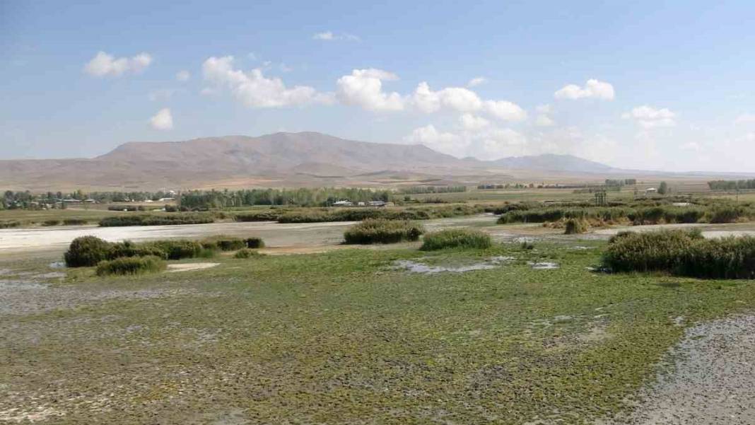 Erçek Gölü kuruyor! Kuş cennetinde kuraklık! 4